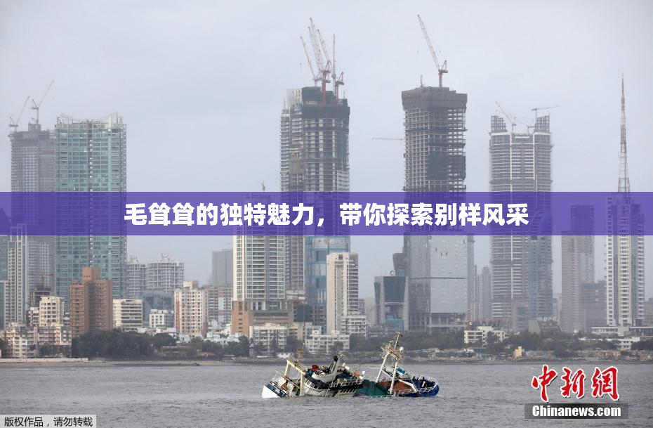 毛耸耸的独特魅力，带你探索别样风采