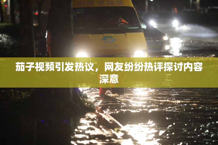 茄子视频引发热议，网友纷纷热评探讨内容深意