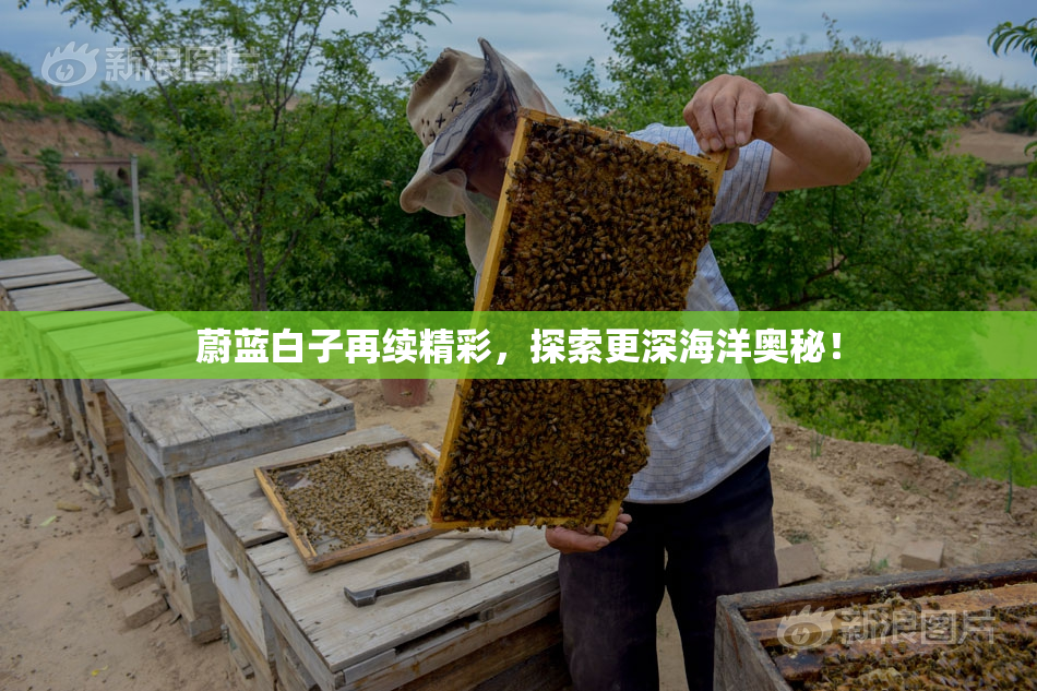 蔚蓝白子再续精彩，探索更深海洋奥秘！