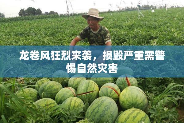龙卷风狂烈来袭，损毁严重需警惕自然灾害