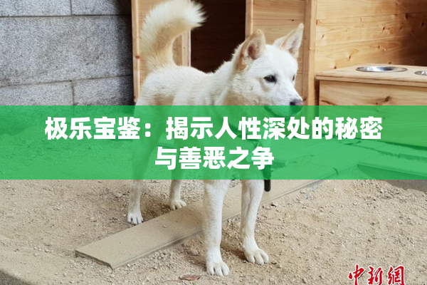 极乐宝鉴：揭示人性深处的秘密与善恶之争