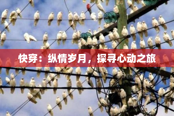 快穿：纵情岁月，探寻心动之旅