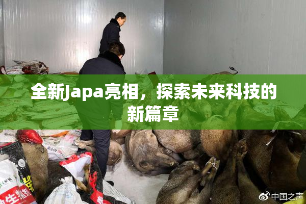 全新Japa亮相，探索未来科技的新篇章