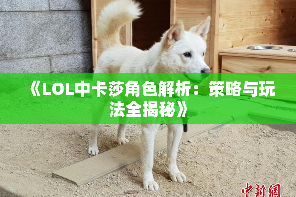 《LOL中卡莎角色解析：策略与玩法全揭秘》