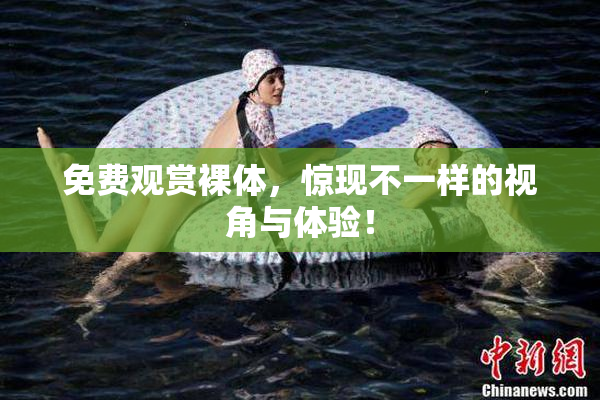 免费观赏裸体，惊现不一样的视角与体验！