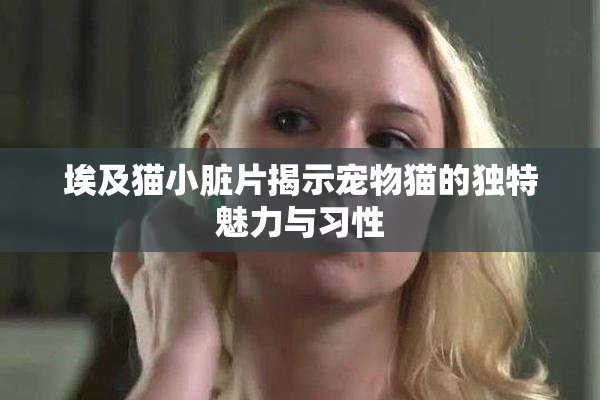 埃及猫小脏片揭示宠物猫的独特魅力与习性
