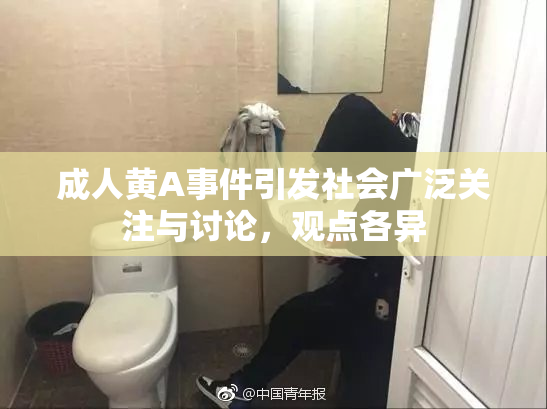 成人黄A事件引发社会广泛关注与讨论，观点各异