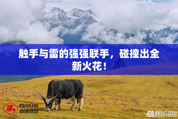 触手与雷的强强联手，碰撞出全新火花！