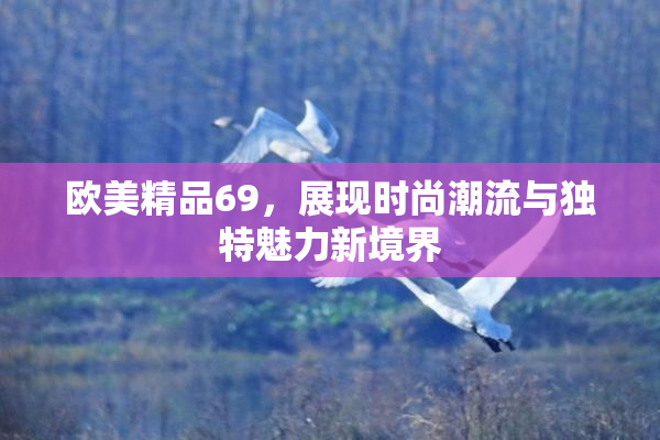欧美精品69，展现时尚潮流与独特魅力新境界