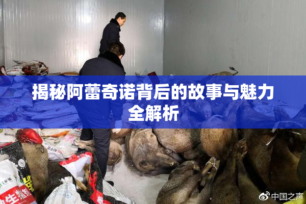 揭秘阿蕾奇诺背后的故事与魅力全解析