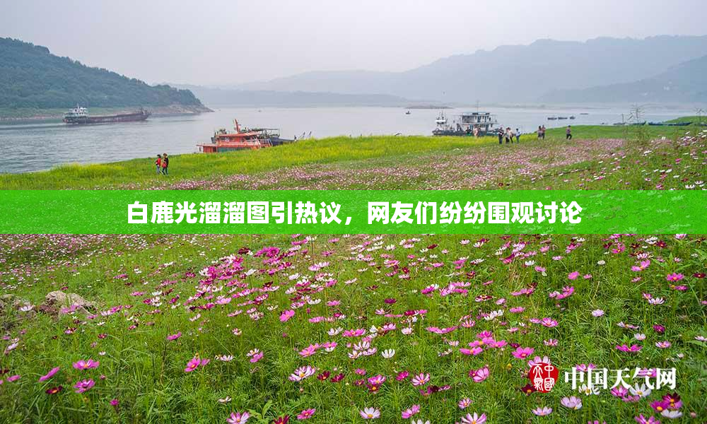 白鹿光溜溜图引热议，网友们纷纷围观讨论