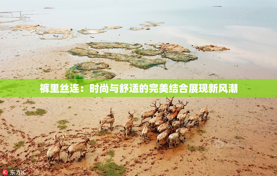 裤里丝连：时尚与舒适的完美结合展现新风潮