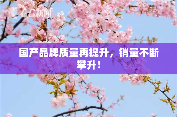 国产品牌质量再提升，销量不断攀升！