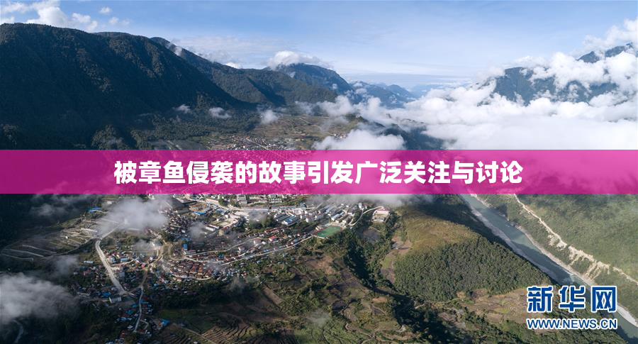 被章鱼侵袭的故事引发广泛关注与讨论