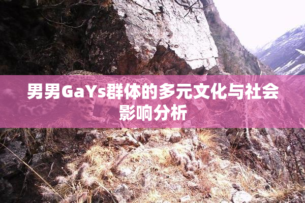 男男GaYs群体的多元文化与社会影响分析