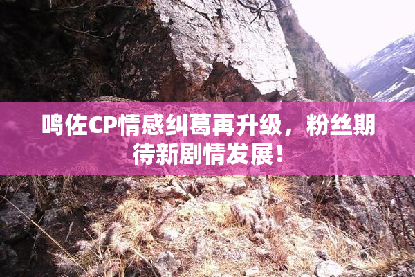 鸣佐CP情感纠葛再升级，粉丝期待新剧情发展！