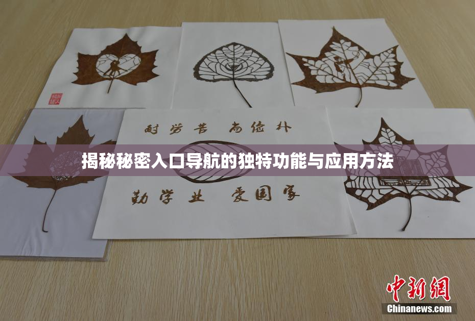 揭秘秘密入口导航的独特功能与应用方法