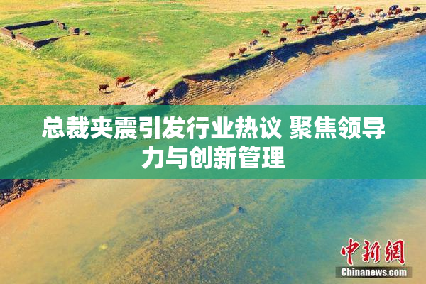 总裁夹震引发行业热议 聚焦领导力与创新管理