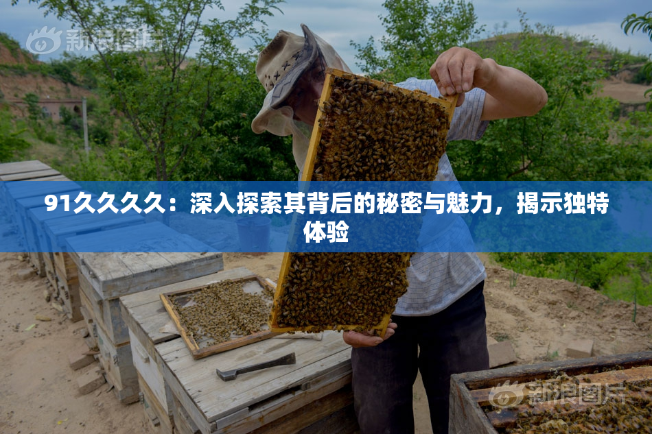 91久久久久：深入探索其背后的秘密与魅力，揭示独特体验