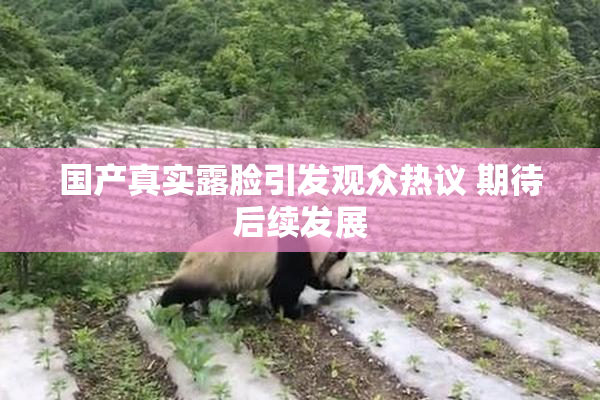 国产真实露脸引发观众热议 期待后续发展