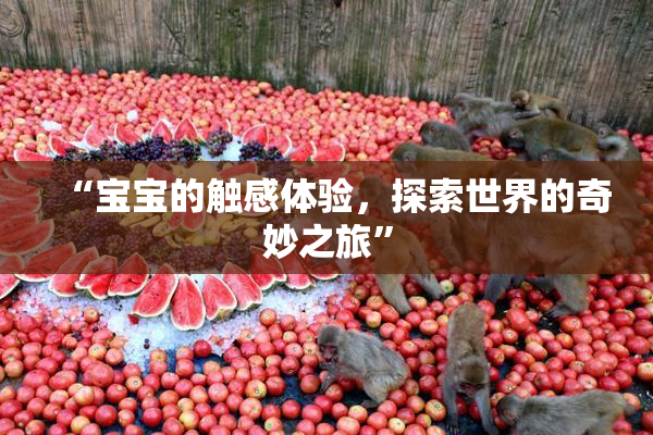 “宝宝的触感体验，探索世界的奇妙之旅”