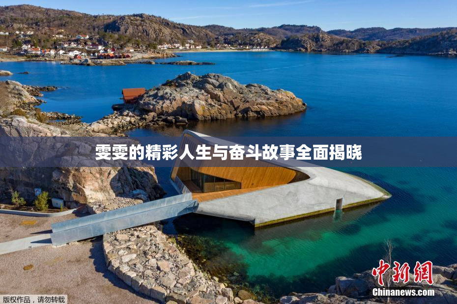 雯雯的精彩人生与奋斗故事全面揭晓