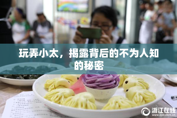 玩弄小太，揭露背后的不为人知的秘密