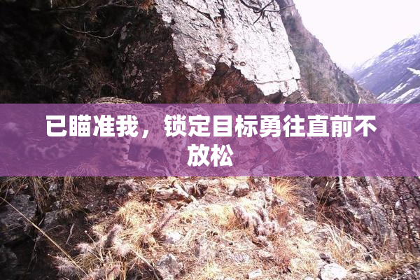 已瞄准我，锁定目标勇往直前不放松