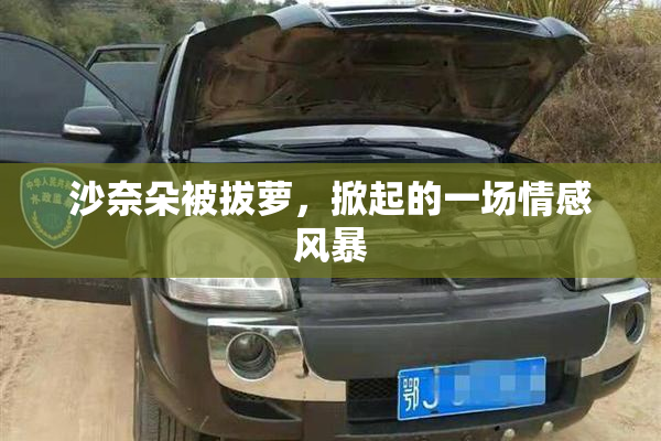 沙奈朵被拔萝，掀起的一场情感风暴