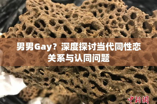男男Gay？深度探讨当代同性恋关系与认同问题