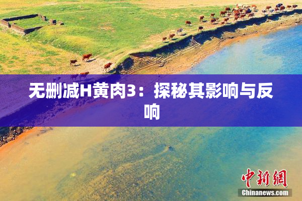 无删减H黄肉3：探秘其影响与反响