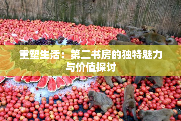重塑生活：第二书房的独特魅力与价值探讨