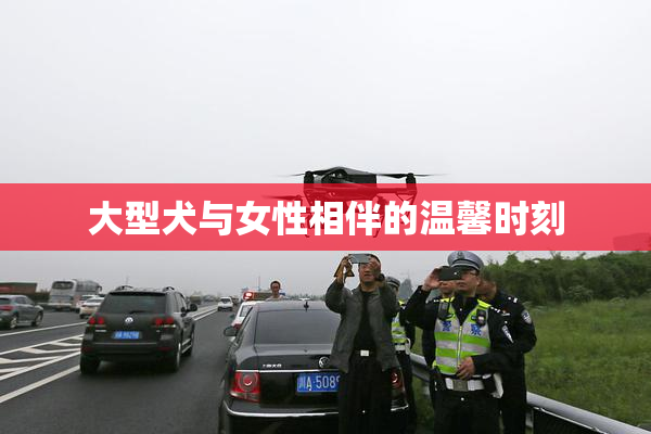 大型犬与女性相伴的温馨时刻