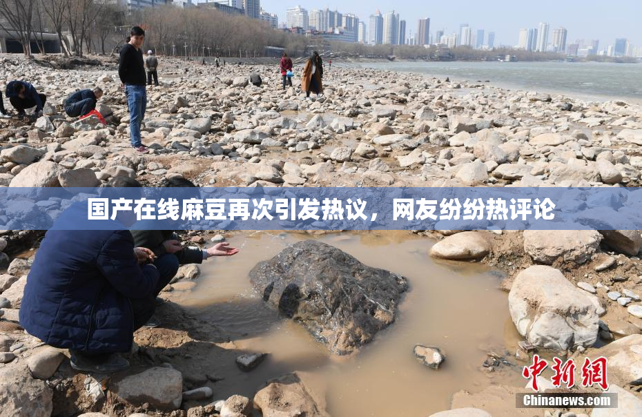 国产在线麻豆再次引发热议，网友纷纷热评论