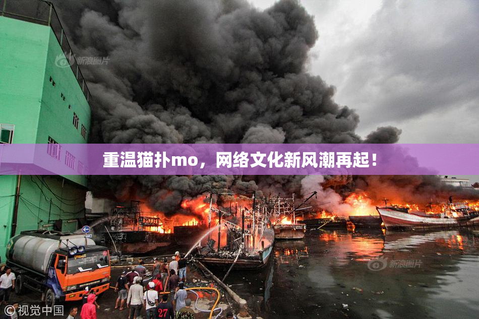 重温猫扑mo，网络文化新风潮再起！