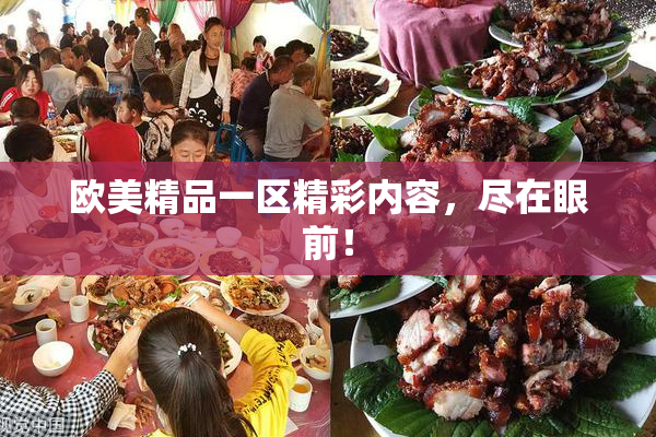欧美精品一区精彩内容，尽在眼前！