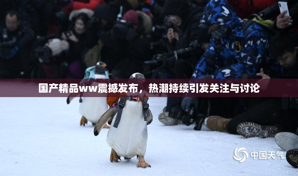 国产精品ww震撼发布，热潮持续引发关注与讨论