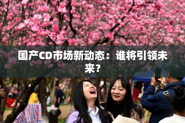 国产CD市场新动态：谁将引领未来？