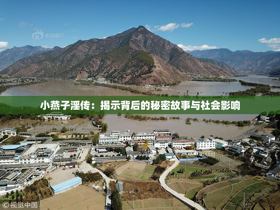 小燕子淫传：揭示背后的秘密故事与社会影响