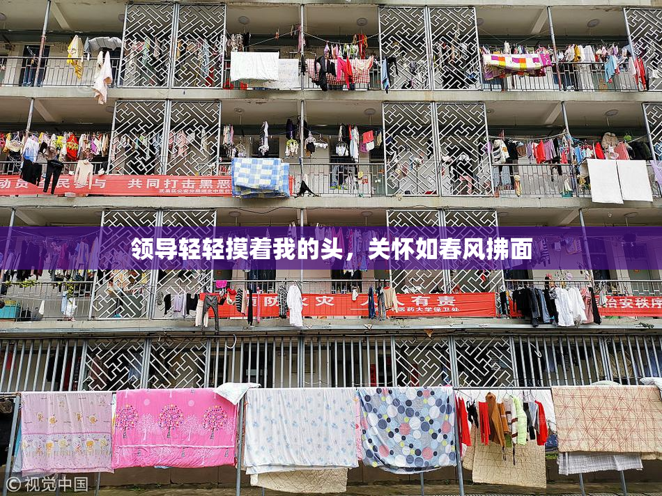 领导轻轻摸着我的头，关怀如春风拂面
