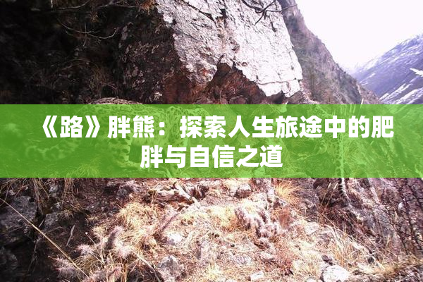 《路》胖熊：探索人生旅途中的肥胖与自信之道