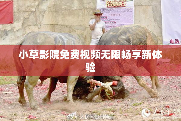 小草影院免费视频无限畅享新体验