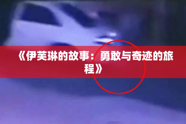 《伊芙琳的故事：勇敢与奇迹的旅程》