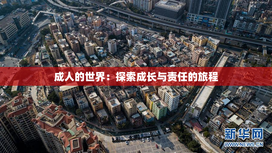 成人的世界：探索成长与责任的旅程