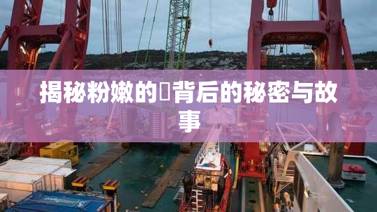 揭秘粉嫩的泬背后的秘密与故事