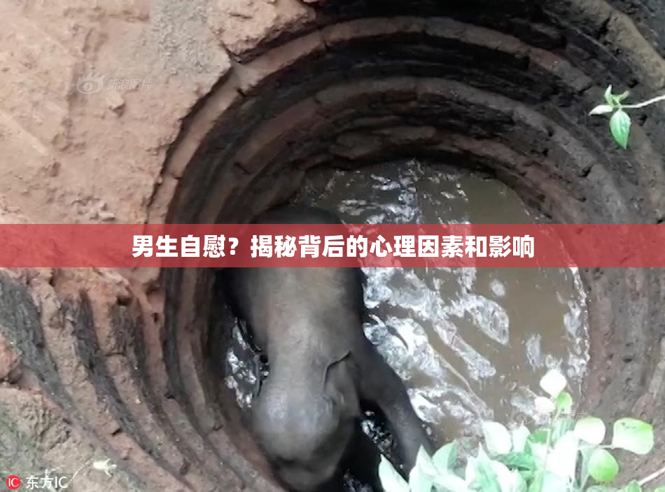 男生自慰？揭秘背后的心理因素和影响