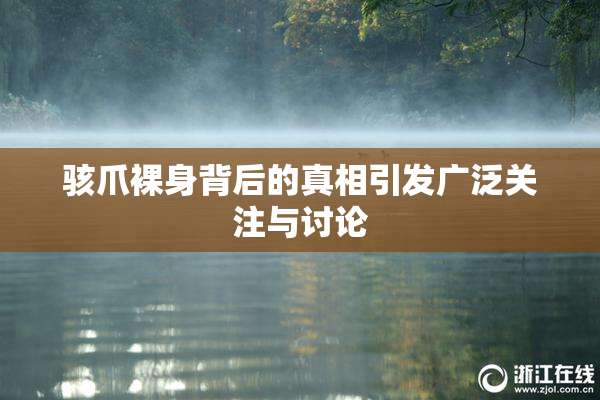 骇爪裸身背后的真相引发广泛关注与讨论