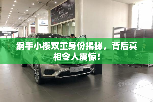 纲手小樱双重身份揭秘，背后真相令人震惊！