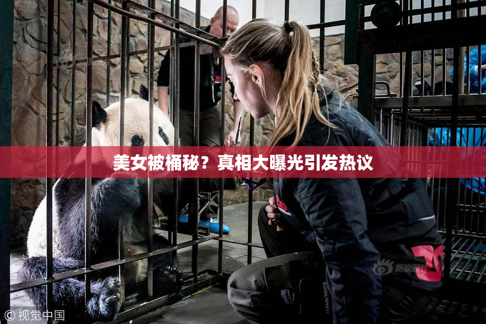 美女被桶秘？真相大曝光引发热议