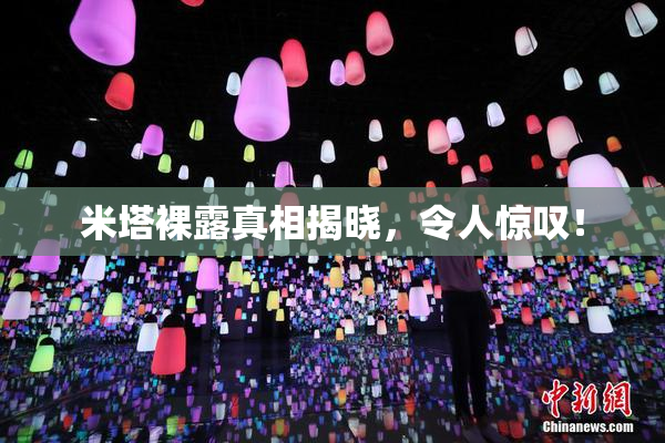 米塔裸露真相揭晓，令人惊叹！